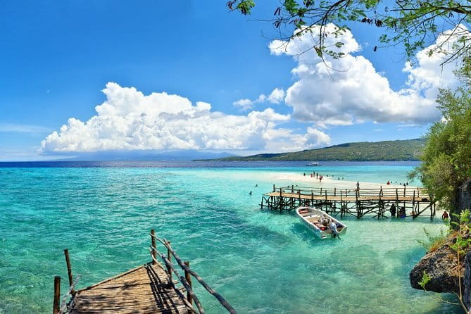 Oslob Whale Shark & Tumalog Waterfalls & Sumilon Sandbar - The 3 a.m. Pickup and Ride to Oslob