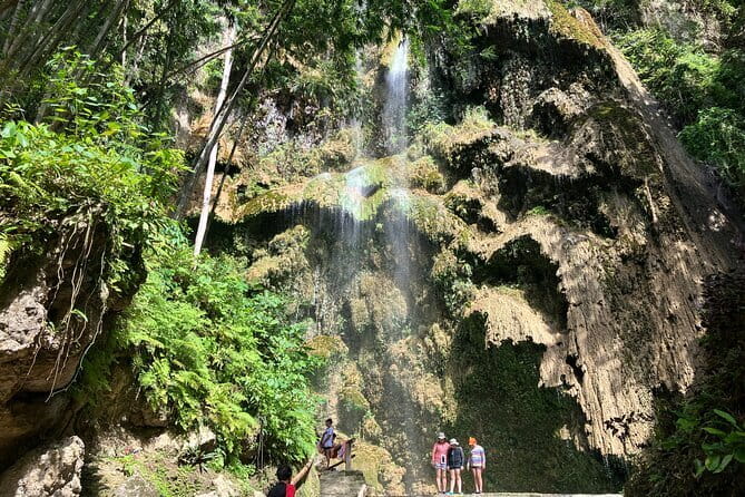 Oslob Whale Shark & Tumalog Waterfalls & Sumilon Sandbar - Swimming Near Oslob’s Whale Sharks