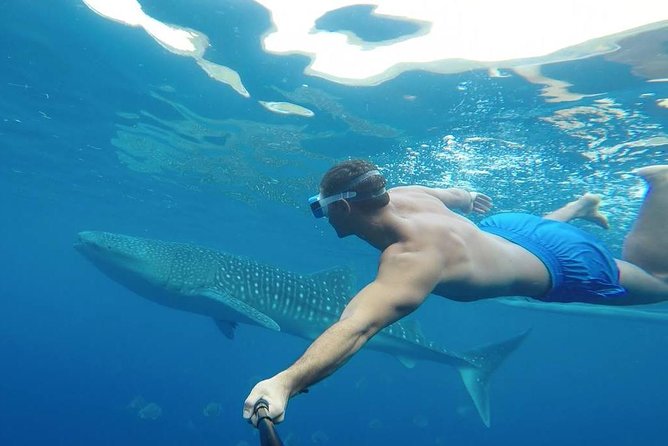 Oslob Whale Shark Watching - Tumalog Falls as the second act