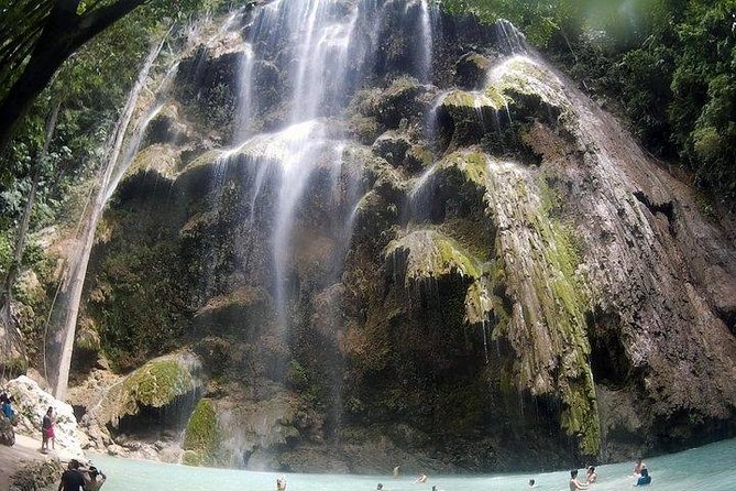 Oslob Whale Shark watching + Canyoneering Adventure Tour - Kawasan Falls turns sightseeing into an active challenge