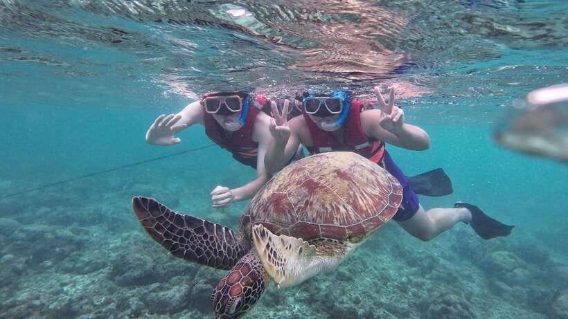 Oslob: Whale Sharks, Inambakan Falls & Moalboal Sardines - Moalboal’s sardine run and possible turtles