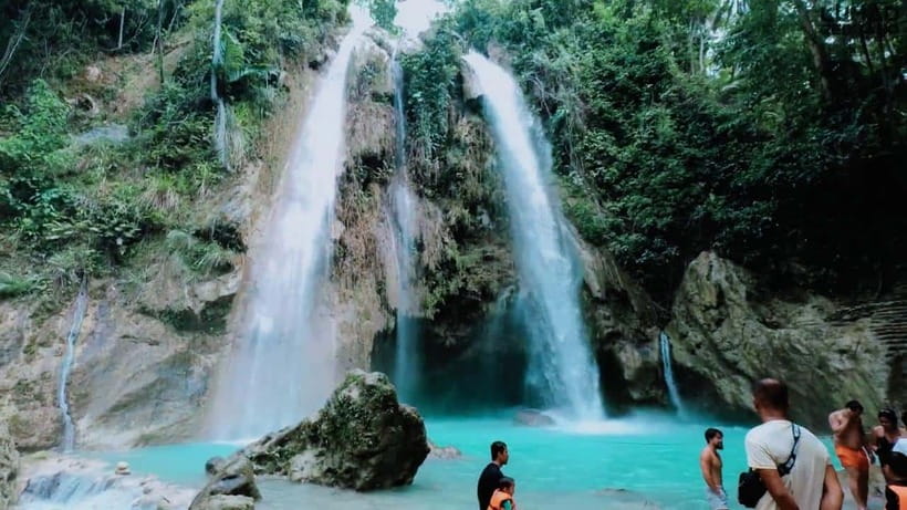 Oslob: Whale Sharks, Inambakan Falls & Moalboal Sardines - What the $132 price covers