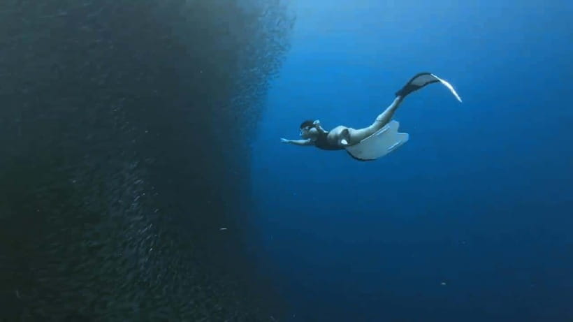Oslob: Whale Sharks, Inambakan Falls & Moalboal Sardines - FAQ