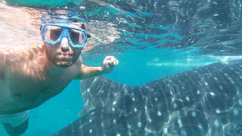 Oslob: Whale Sharks, Inambakan Falls & Moalboal Sardines - Oslob whale sharks: the day’s big encounter