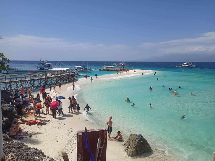 Oslob: Whale Sharks, Tumalog Falls & Sumilon Trio Adventure - Key points to know before you book
