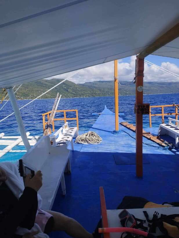Oslob: Whale Sharks, Tumalog Falls & Sumilon Trio Adventure - Sumilon Island and the famous sandbar