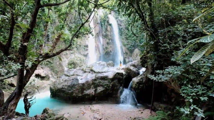 Oslob: Whaleshark Swimming, Inambakan Falls & Moalboal Tour - What the private format really changes