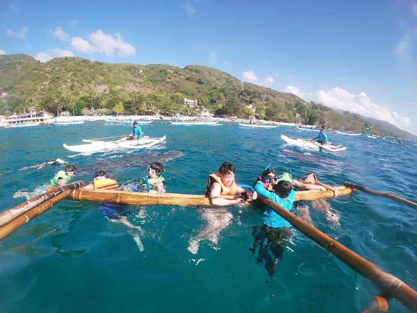 Oslob: Whaleshark Swimming, Tumalog Falls & Sumilon Island - Who should choose this Oslob experience?