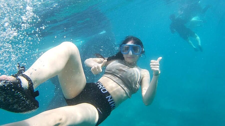 Oslob: Whaleshark Swimming, Tumalog Falls & Sumilon Island - Sumilon Island and the white-sand finish