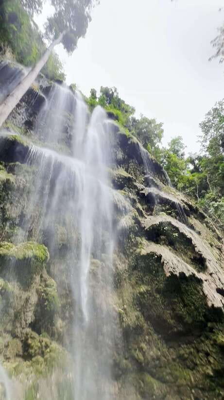 Oslob: Whaleshark Swimming, Tumalog Falls & Sumilon Island - The private-tour promise and its limits