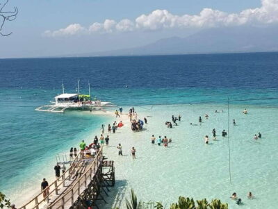 Whaleshark Watching, Sumilon Island & Monkey Viewing