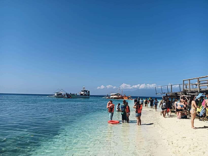 Oslob: Whaleshark Watching, Sumilon Island & Monkey Viewing - Monkey viewing: fun, fast, and less of a walk than expected