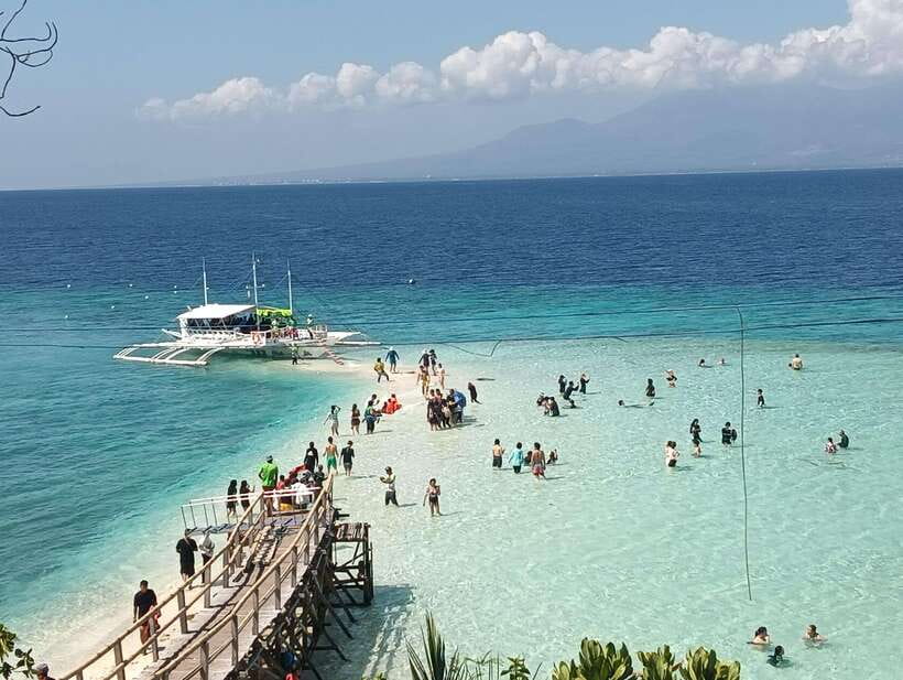 Oslob: Whaleshark Watching, Sumilon Island & Monkey Viewing - Whale sharks at Oslob: thrilling, crowded, and not fully natural