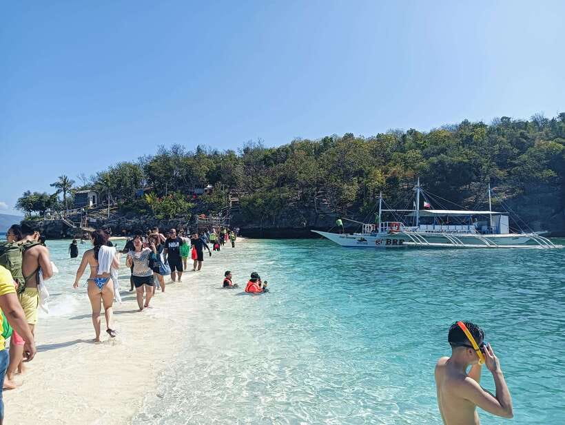 Oslob: Whaleshark Watching, Tumalog Falls & Sumilon Island - Oslob whale sharks: the day’s headline moment