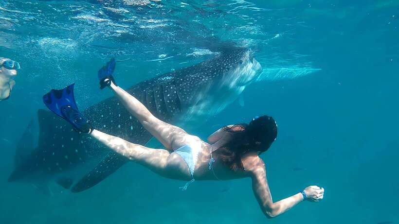 Oslob: Whaleshark Watching, Tumalog Falls & Sumilon Island - Lunch, coffee, and the long ride home