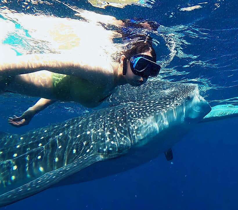 Oslob: Whaleshark Watching, Tumalog Falls & Sumilon Island - The 2:00 AM departure from Cebu