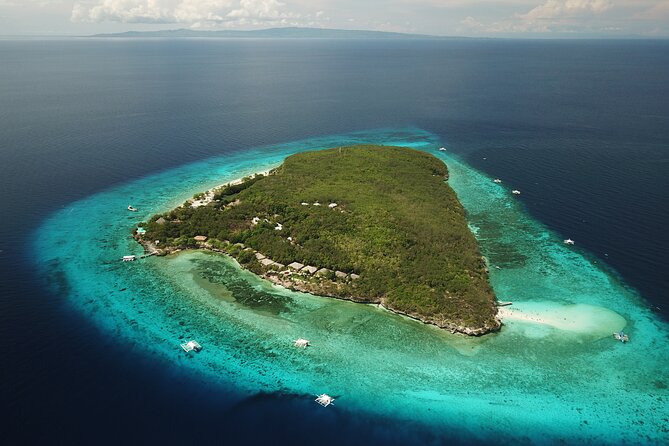 Oslob Whaleshark with Sumilon Island - Boljoon Church and southern Cebu’s older sights