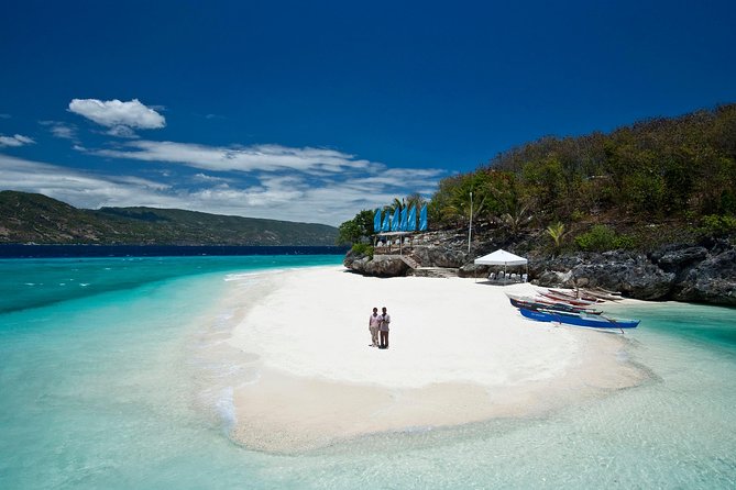 Oslob Whalesharks & Aguinid Falls w/ Sumilon Sandbar (3in1) - The 3 a.m. road to Oslob