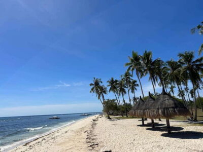 Pamilacan island: Dolphins, snorkel, lunch and walking tour