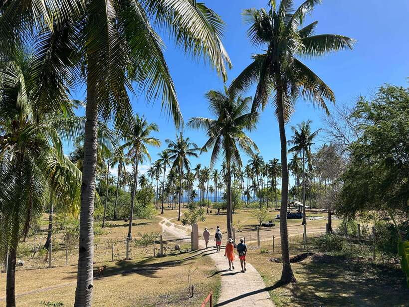 Pamilacan island: Dolphins, snorkel, lunch and walking tour - Three hours at the marine sanctuary
