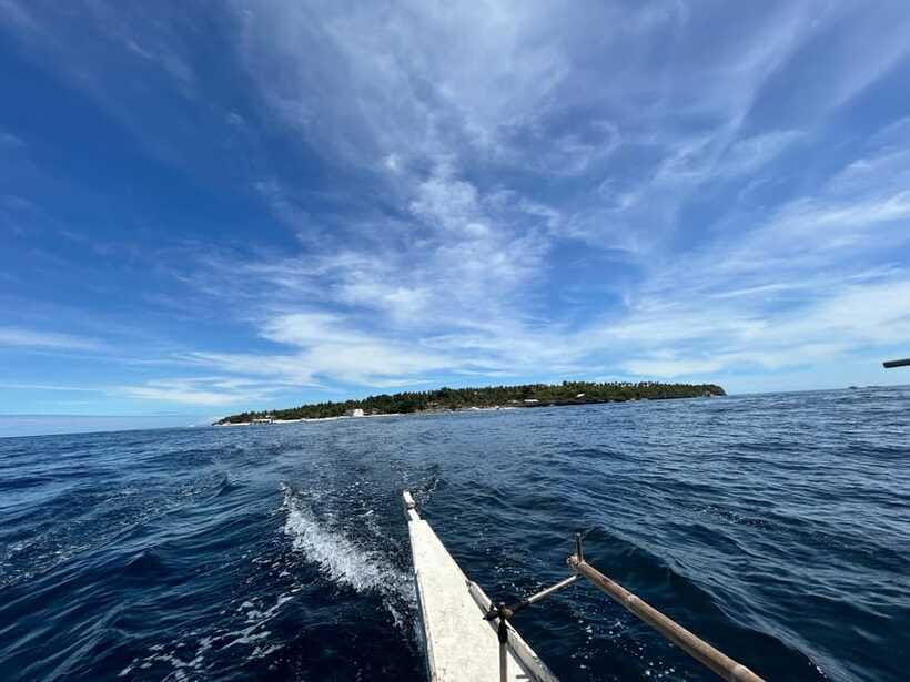 Pamilacan island: Dolphins, snorkel, lunch and walking tour - A 45-minute walk through island history