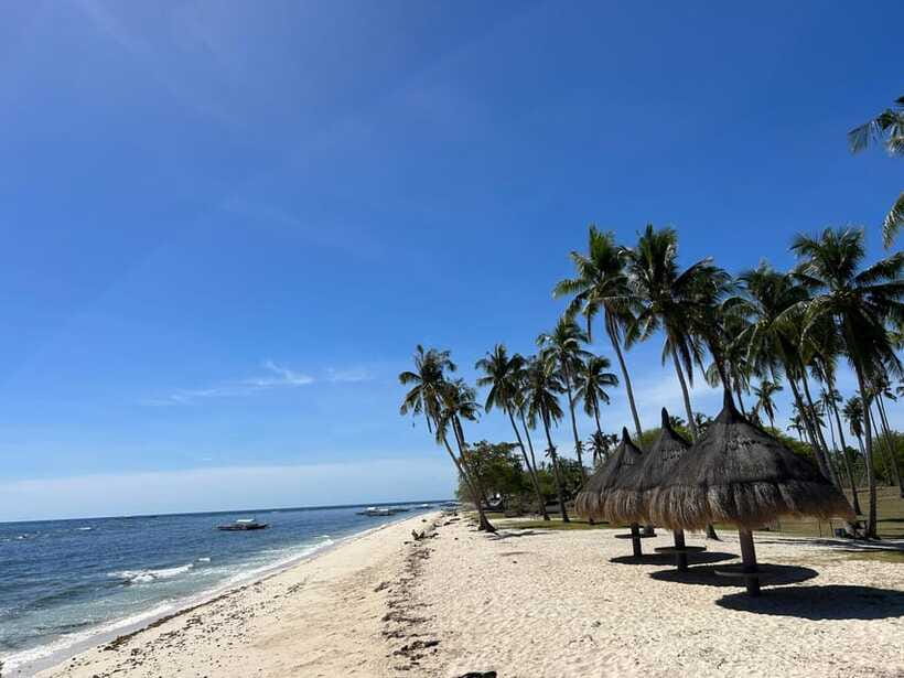 Pamilacan island: Dolphins, snorkel, lunch and walking tour - Is $139 a fair price?
