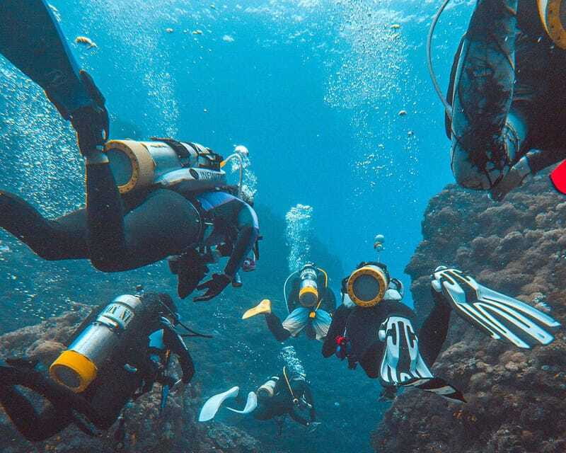 Panglao Bohol: Try Scuba Diving at Napaling and Sardines - What the $105 Price Covers