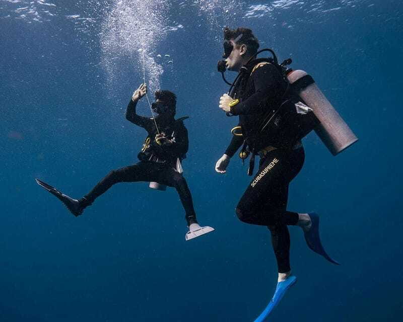 Panglao Bohol: Try Scuba Diving at Napaling and Sardines - Booking Advice for Weather and Timing