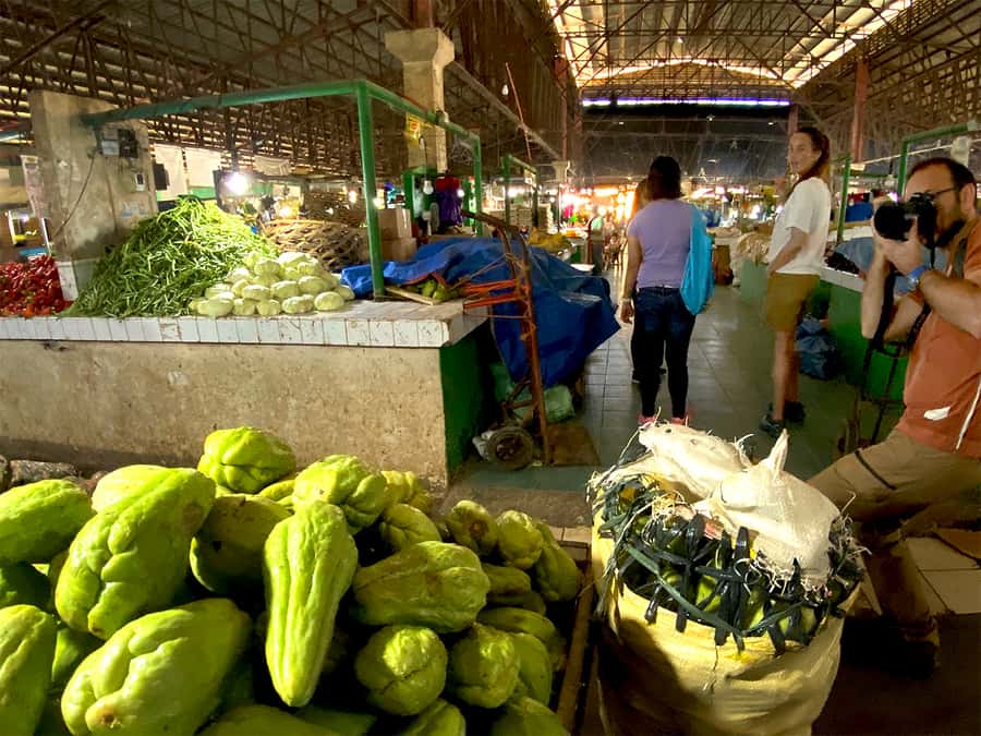 Panglao: Dao, Forests, and Tarsier Sanctuary Tour with Lunch - Bilar scenery, walking, and the family meal