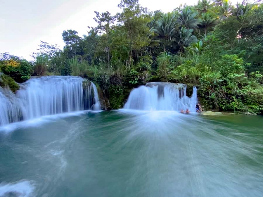 Panglao: Dao, Forests, and Tarsier Sanctuary Tour with Lunch - What the private vehicle and guide add