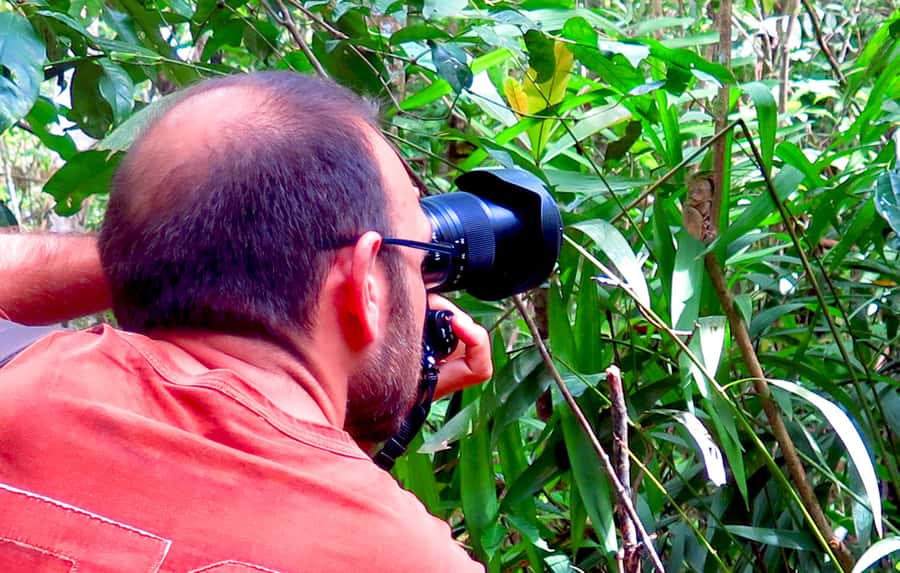 Panglao: Dao, Forests, and Tarsier Sanctuary Tour with Lunch - Is $144 a fair price?