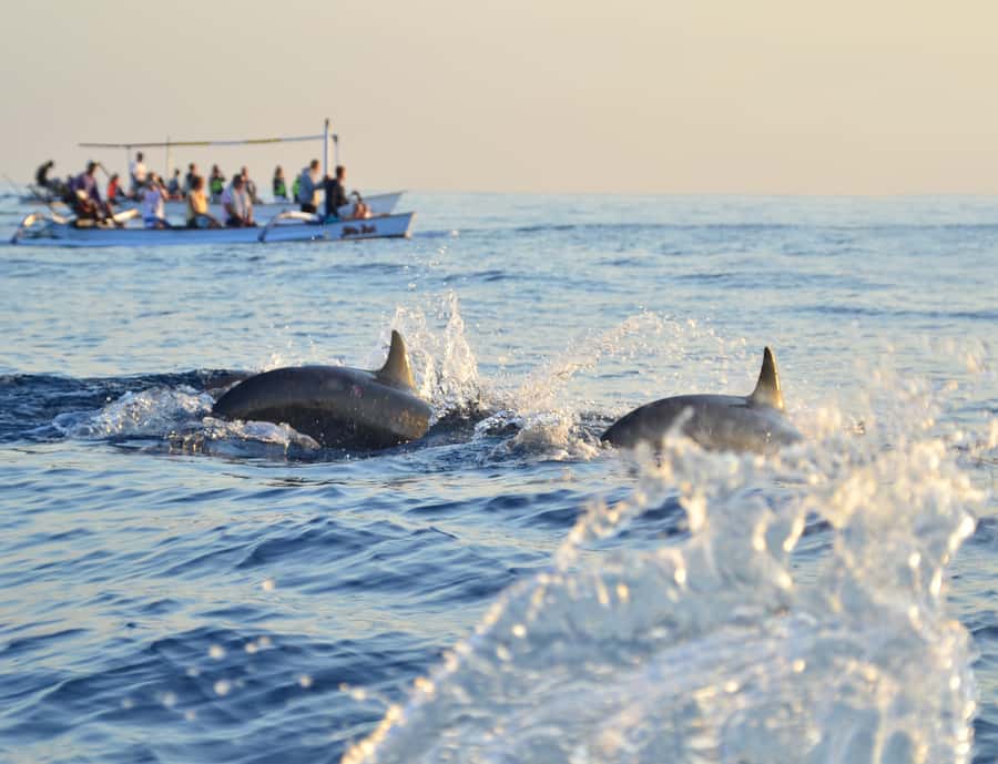 Panglao: Island Hopping w/Balicasag (Shared) - What the $45 price really covers
