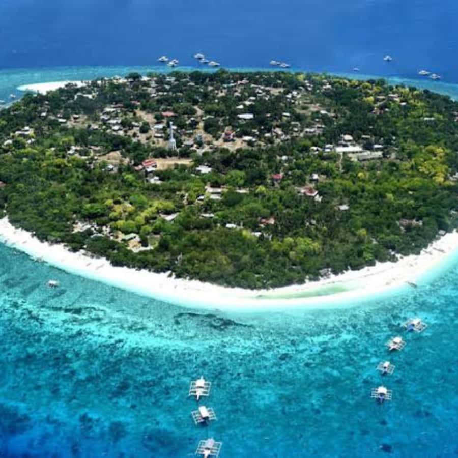 Panglao: Island Hopping w/Balicasag (Shared) - Meeting at McDonald’s Alona or South Beach