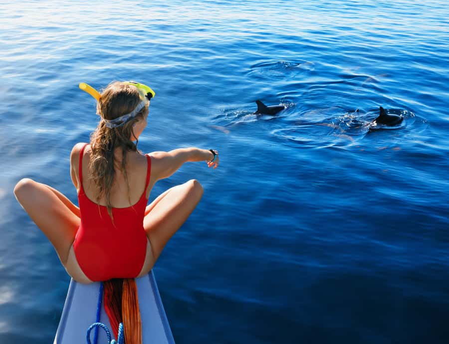 Panglao: Island Hopping w/Balicasag (Shared) - What to pack for five hours at sea