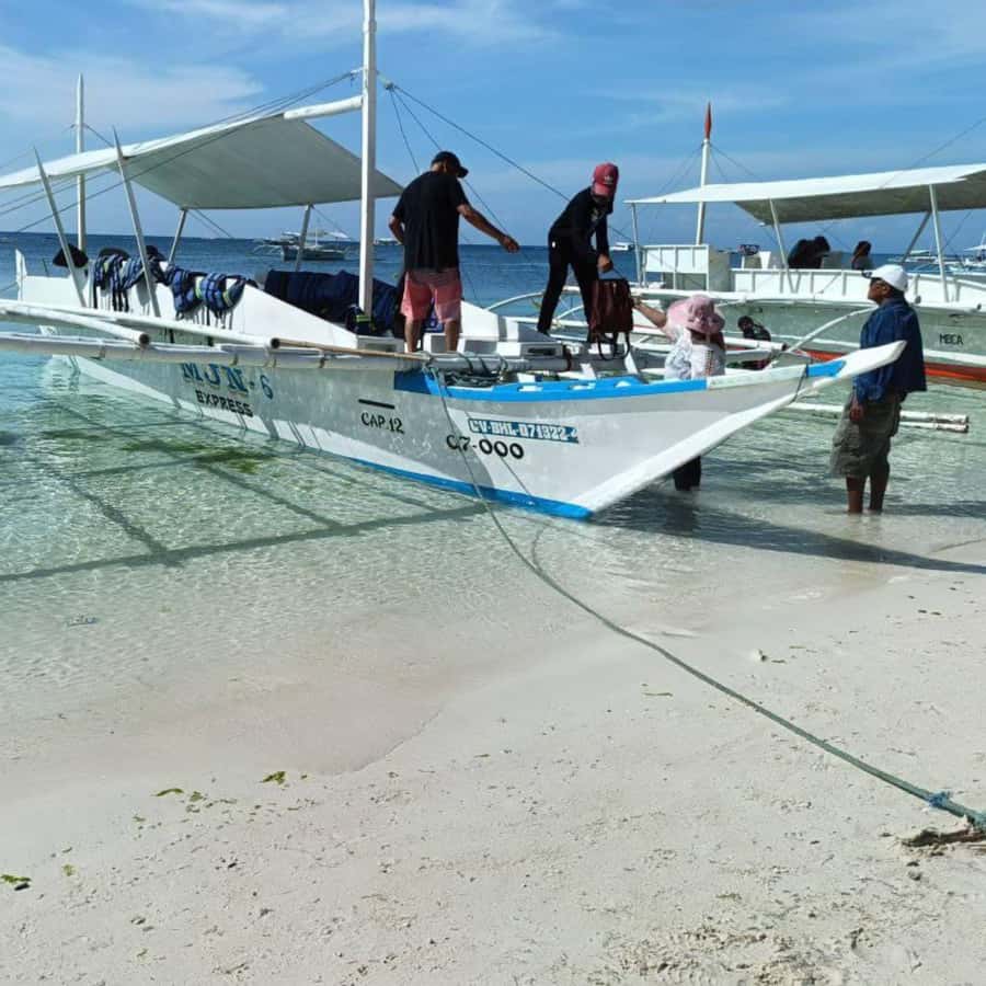 Panglao: Island Hopping w/Balicasag (Shared) - Dolphin watching near Panglao