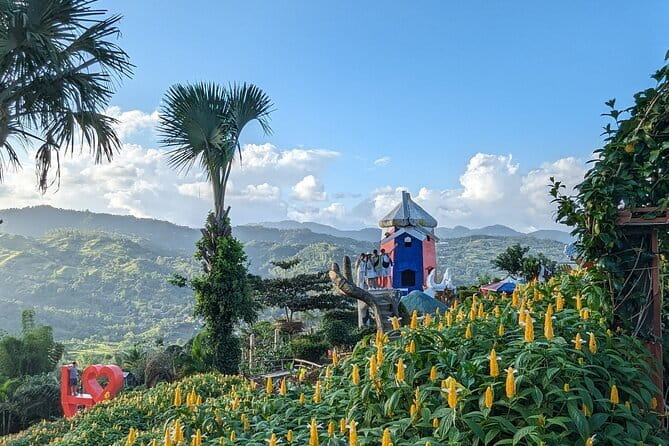 Panoramic View of Cebu and Dinner with Night View - Timing, pickup, and the shape of the day