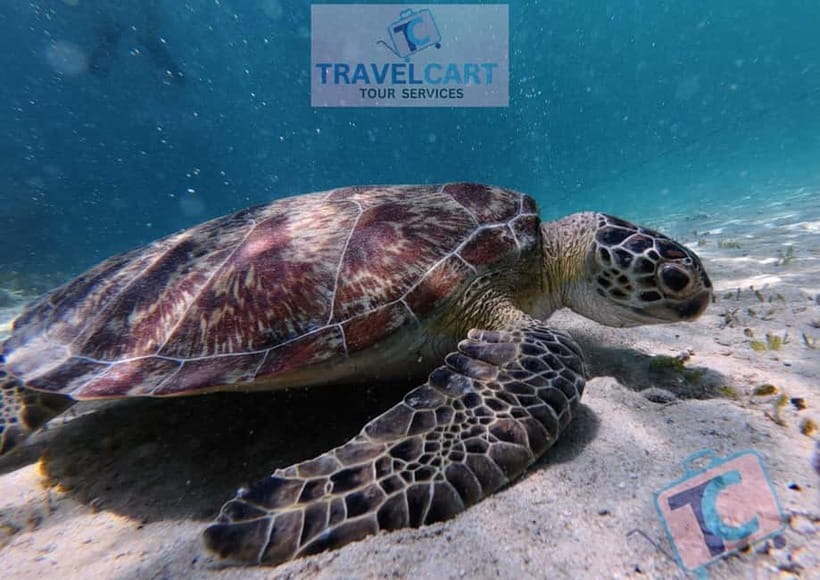 PORT BARTON: Full-day Shared Island Hopping Tour A - Key points at a glance