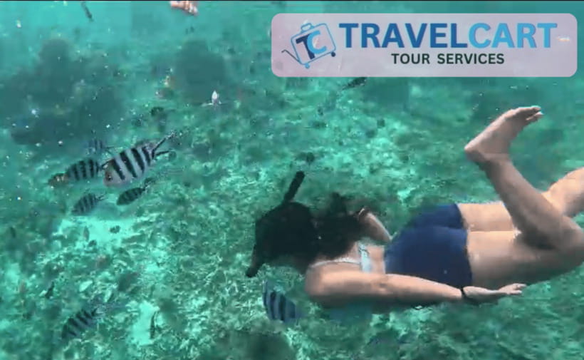 PORT BARTON: Full-day Shared Island Hopping Tour A - Lunch between the reefs and beaches