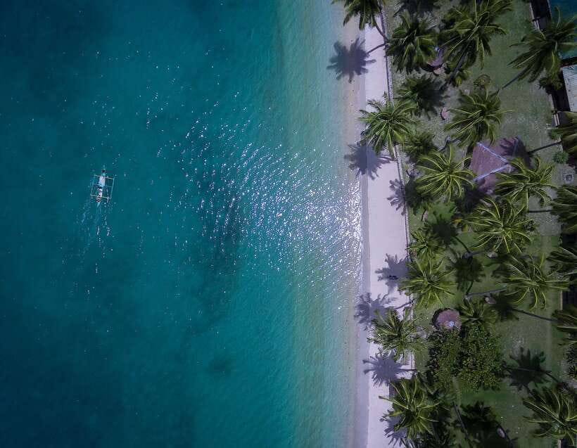 Port Barton: Island Hopping to Turtle Spot & Reef with Lunch - Key points at a glance