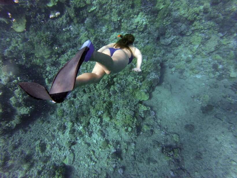 Port Barton: Island Hopping to Turtle Spot & Reef with Lunch - Turtle Spot: the day’s most exciting possibility