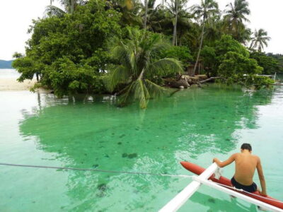 Island Hopping to Turtle Spot & Reef with Lunch