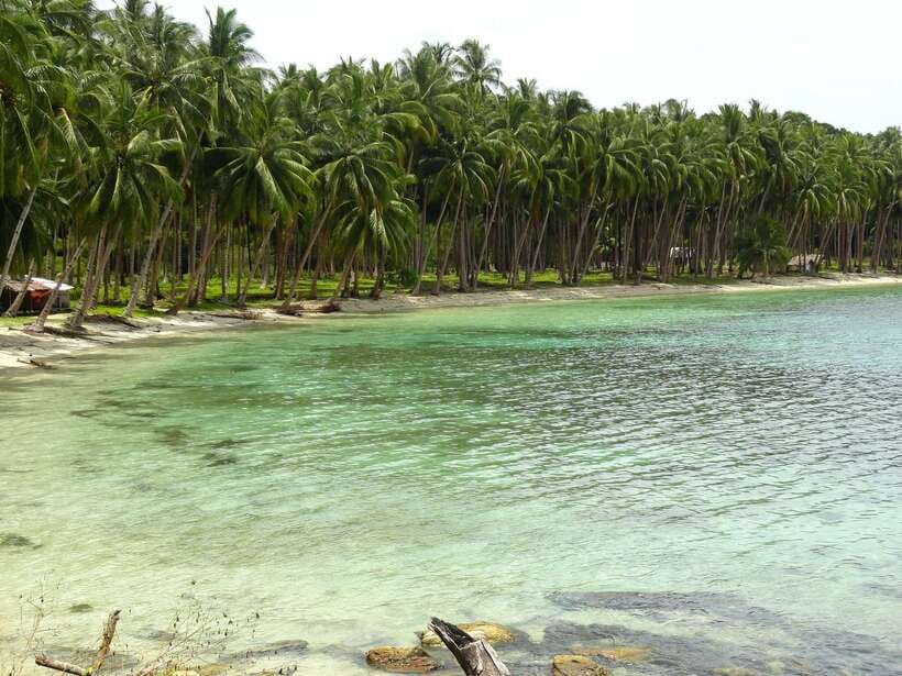 Port Barton: Island Hopping to Turtle Spot & Reef with Lunch - Twin Reef and the other snorkeling stops