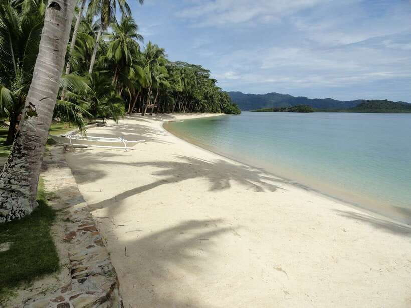 Port Barton: Island Hopping to Turtle Spot & Reef with Lunch - Weather, comfort, and who should book