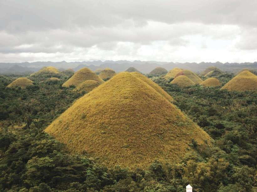 PREMIUM Bohol Eco-Tours: Chocolate hills - Starting in Corella with the tiny tarsiers