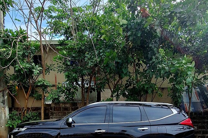 Private Airport Transfer Manila to Hotel in Manila or vice versa - Booking around your flight schedule