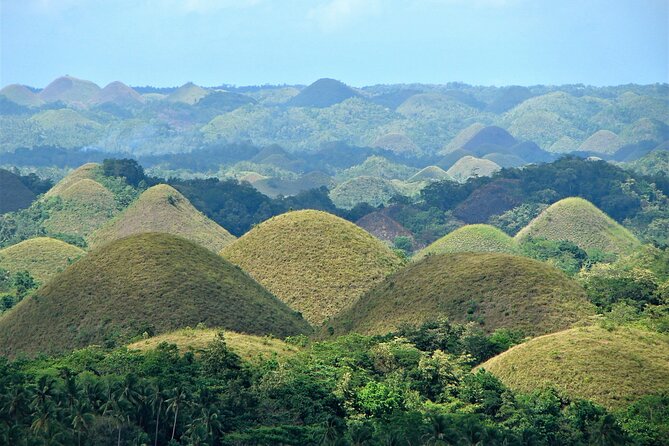 Private Bohol and Chocolate Hills with Loboc River Cruise - Meeting the Tarsiers in Corella
