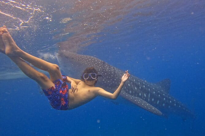Private Island Hopping in Nasuluan, Hiltotongan and Caohngan - What the private format really adds