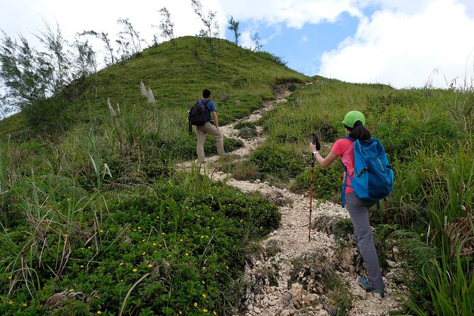Private Kawasan Falls and Osmena Peak Day Trip from Cebu City - The 6:00 am pickup from Cebu City