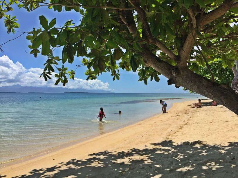 Puerto Princesa: Cowrie Island Guided Day Tour with Meal - Key points to know before you book