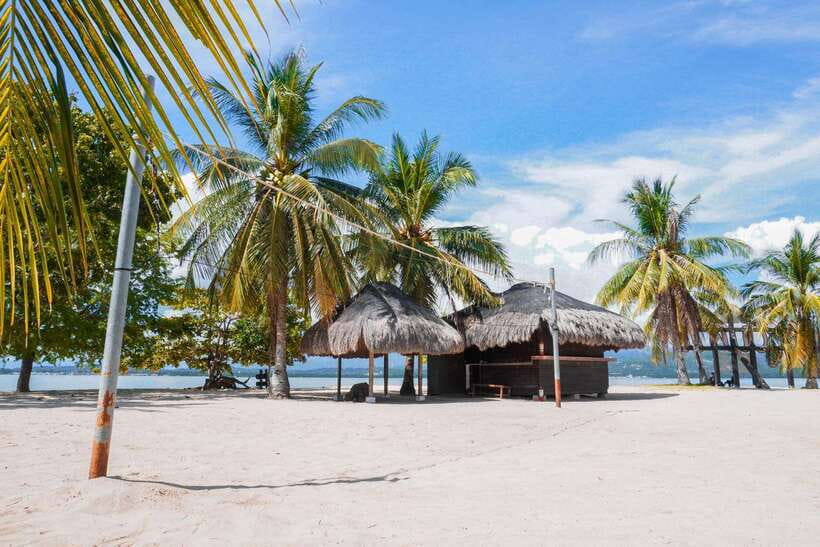 Puerto Princesa: Cowrie Island Guided Day Tour with Meal - What the private guide adds
